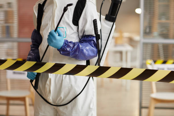 Professional Hoarding Cleanup technician working in Medford, MA